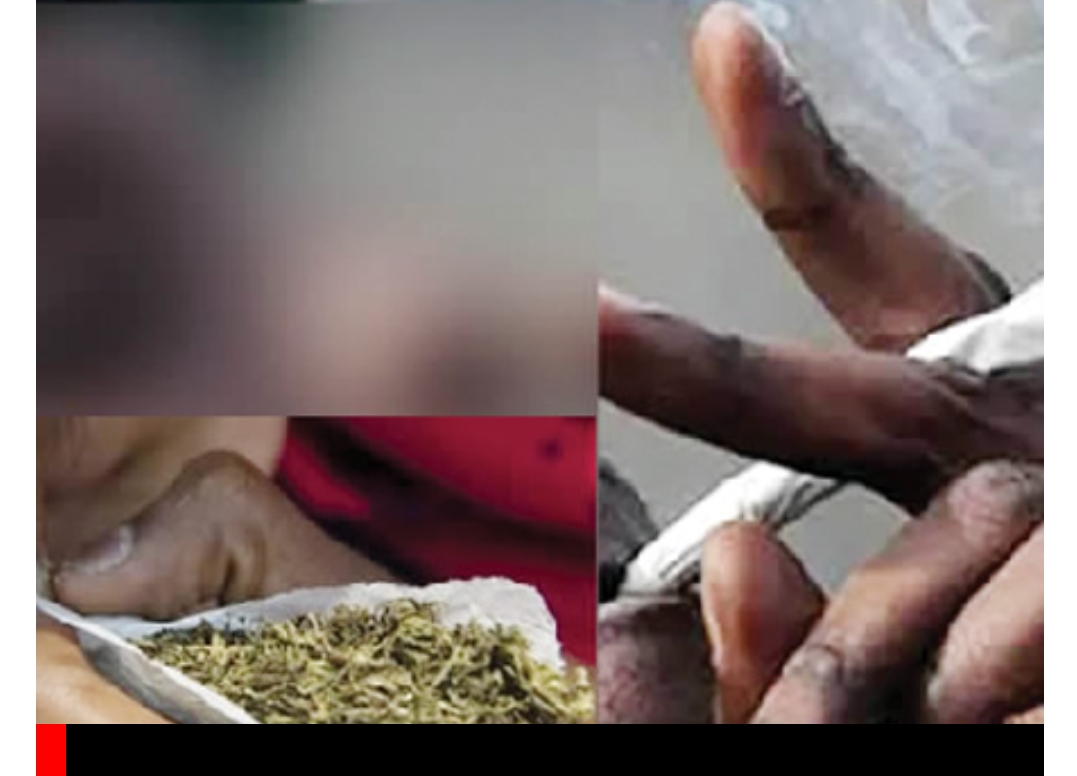 Marijuana:  government pardons 175,000 convicts